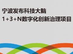 宁波发布科技大脑：1+3+N数字化创新治理项目